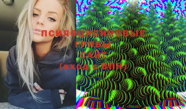 spice Куйбышев