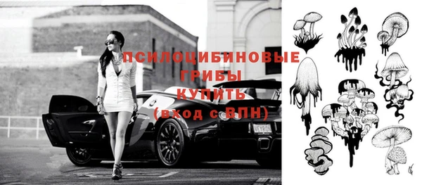 гидропоника Абаза