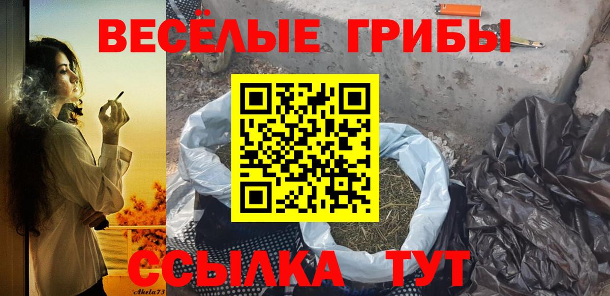 Псилоцибиновые грибы MAGIC MUSHROOMS  Липецк  Псилоцибиновые грибы прущие грибы 